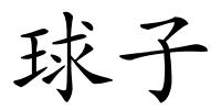 球子的解释