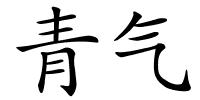 青气的解释