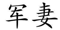 军妻的解释