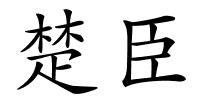 楚臣的解释