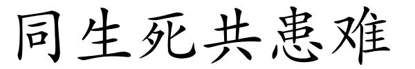 同生死共患难的解释