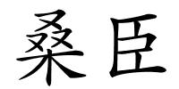 桑臣的解释