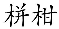 栟柑的解释