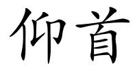 仰首的解释