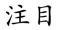 注目的解释