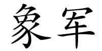 象军的解释