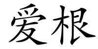 爱根的解释