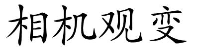 相机观变的解释