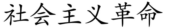 社会主义革命的解释