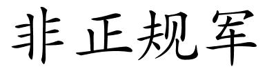 非正规军的解释