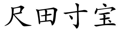 尺田寸宝的解释