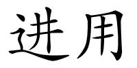 进用的解释