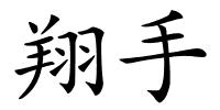 翔手的解释