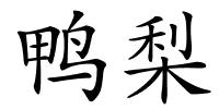 鸭梨的解释