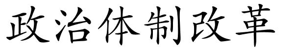 政治体制改革的解释