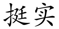 挺实的解释