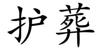 护葬的解释