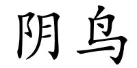 阴鸟的解释