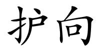 护向的解释