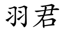 羽君的解释