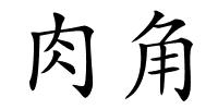 肉角的解释