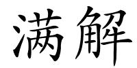 满解的解释