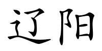 辽阳的解释