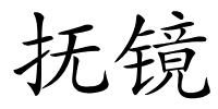 抚镜的解释