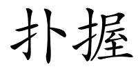 扑握的解释