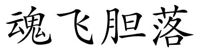 魂飞胆落的解释