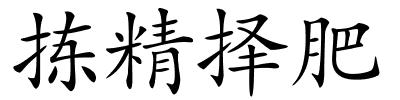 拣精择肥的解释