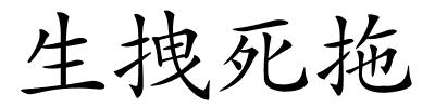 生拽死拖的解释