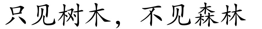 只见树木，不见森林的解释