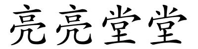 亮亮堂堂的解释