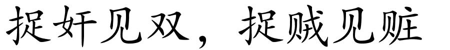 捉奸见双，捉贼见赃的解释