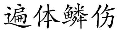 遍体鳞伤的解释