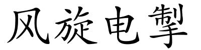 风旋电掣的解释