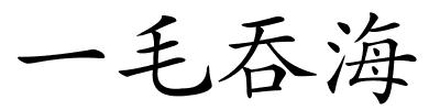 一毛吞海的解释