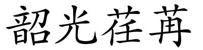 韶光荏苒的解释