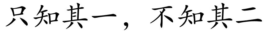 只知其一，不知其二的解释