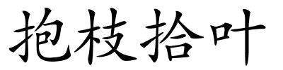 抱枝拾叶的解释