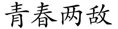 青春两敌的解释