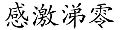 感激涕零的解释