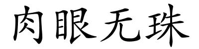 肉眼无珠的解释