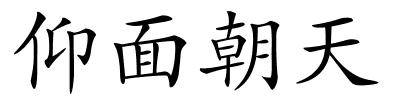 仰面朝天的解释