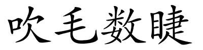 吹毛数睫的解释