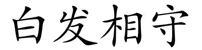 白发相守的解释