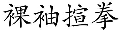 裸袖揎拳的解释