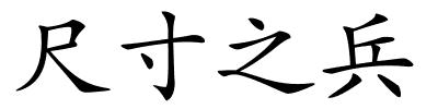 尺寸之兵的解释