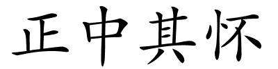 正中其怀的解释